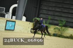 24BUCK_06896 thumbnail