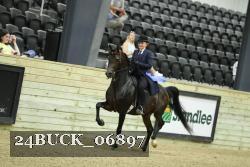 24BUCK_06897 thumbnail