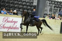 24BUCK_06899 thumbnail