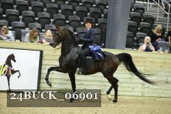 24BUCK_06901 thumbnail