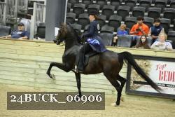 24BUCK_06906 thumbnail