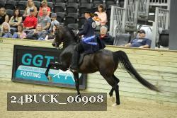 24BUCK_06908 thumbnail