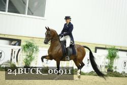 24BUCK_06911 thumbnail