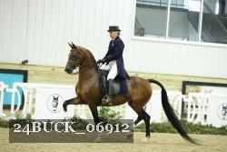 24BUCK_06912 thumbnail