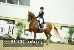 24BUCK_06915 thumbnail