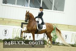 24BUCK_06916 thumbnail