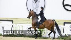 24BUCK_06917 thumbnail