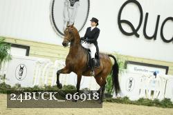 24BUCK_06918 thumbnail
