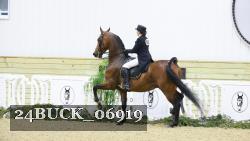 24BUCK_06919 thumbnail