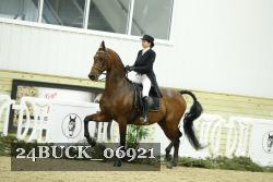 24BUCK_06921 thumbnail