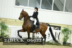 24BUCK_06922 thumbnail