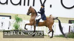 24BUCK_06923 thumbnail