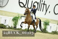 24BUCK_06925 thumbnail