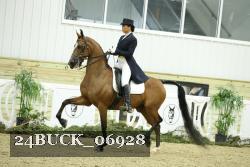 24BUCK_06928 thumbnail