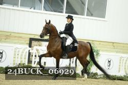 24BUCK_06929 thumbnail