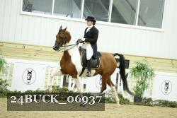 24BUCK_06937 thumbnail