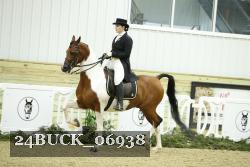 24BUCK_06938 thumbnail