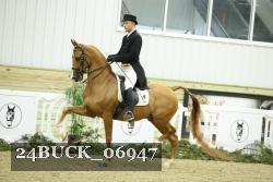 24BUCK_06947 thumbnail