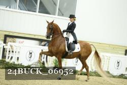 24BUCK_06952 thumbnail
