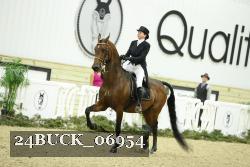 24BUCK_06954 thumbnail