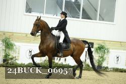 24BUCK_06957 thumbnail