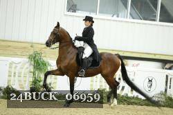 24BUCK_06959 thumbnail