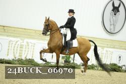 24BUCK_06970 thumbnail