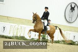 24BUCK_06980 thumbnail