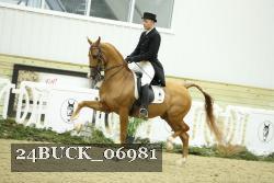 24BUCK_06981 thumbnail