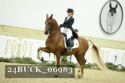 24BUCK_06983 thumbnail