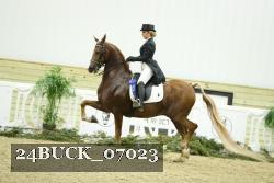24BUCK_07023 thumbnail