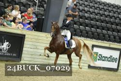 24BUCK_07029 thumbnail
