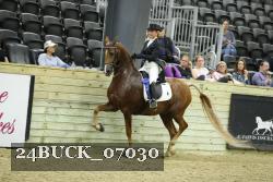 24BUCK_07030 thumbnail