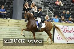 24BUCK_07031 thumbnail