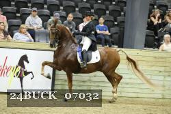 24BUCK_07032 thumbnail