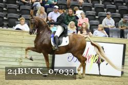 24BUCK_07033 thumbnail