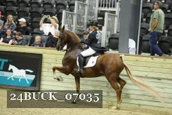 24BUCK_07035 thumbnail