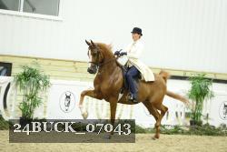 24BUCK_07043 thumbnail