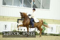 24BUCK_07044 thumbnail