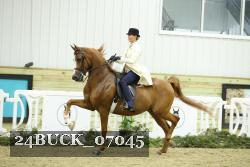 24BUCK_07045 thumbnail