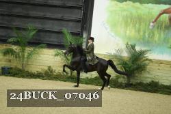 24BUCK_07046 thumbnail