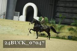24BUCK_07047 thumbnail