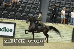 24BUCK_07049 thumbnail