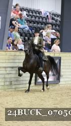 24BUCK_07050 thumbnail