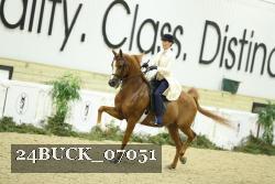 24BUCK_07051 thumbnail