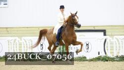 24BUCK_07056 thumbnail