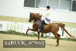 24BUCK_07063 thumbnail