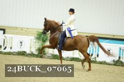 24BUCK_07065 thumbnail