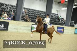24BUCK_07069 thumbnail