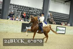 24BUCK_07070 thumbnail